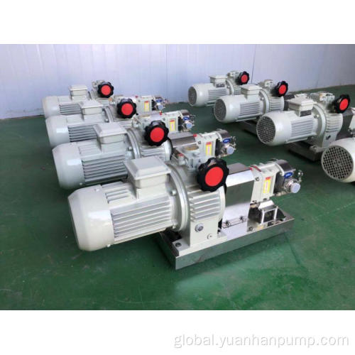 Stainless Steel Rotor Pump Stainless steel rotor pump 3RPCAM rotor pump Emulsion transfer pump Factory